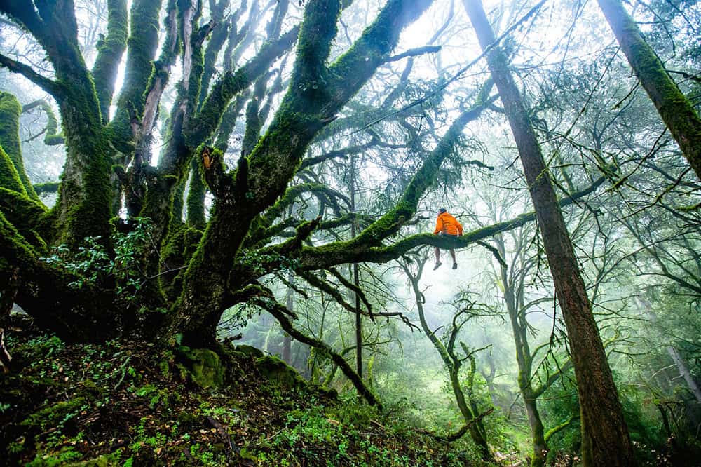 Phong Nha Ke Bang National Park Vietnam