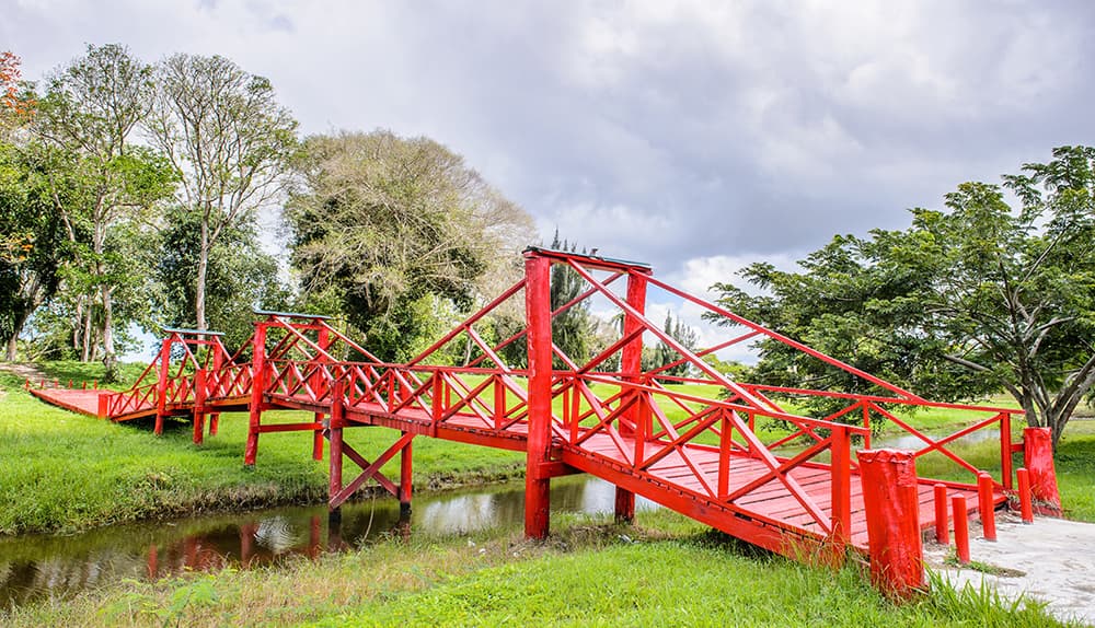 Rode brug Suriname