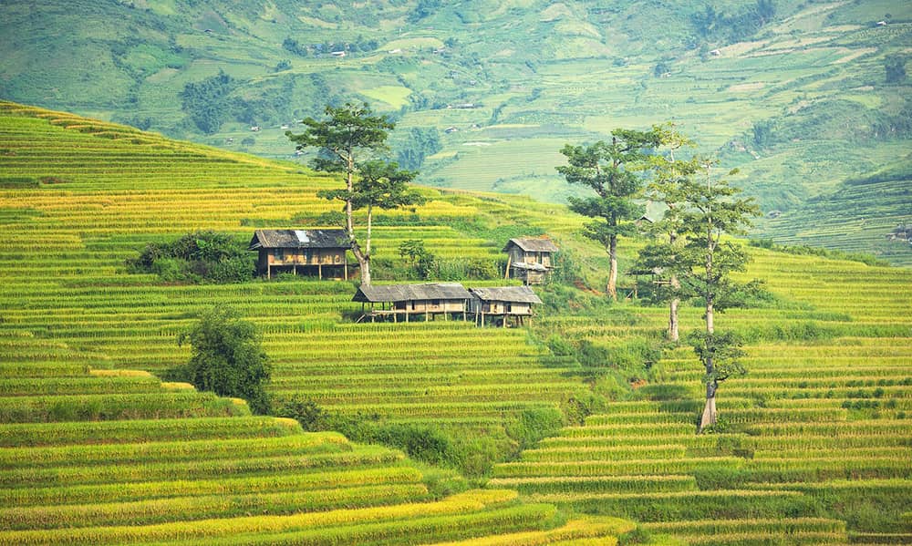 Sapa Vietnam